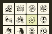 Anatomy Drawing Illustration, an Outline Icon by Vectors Market (Thumbnail 8 of 8)