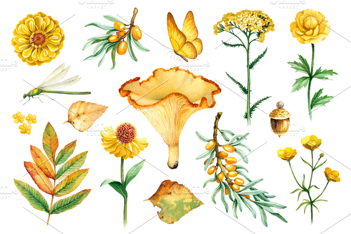 Yellow summer nature kit, a Texture Illustration by Sundra (Photo 1 of 6)