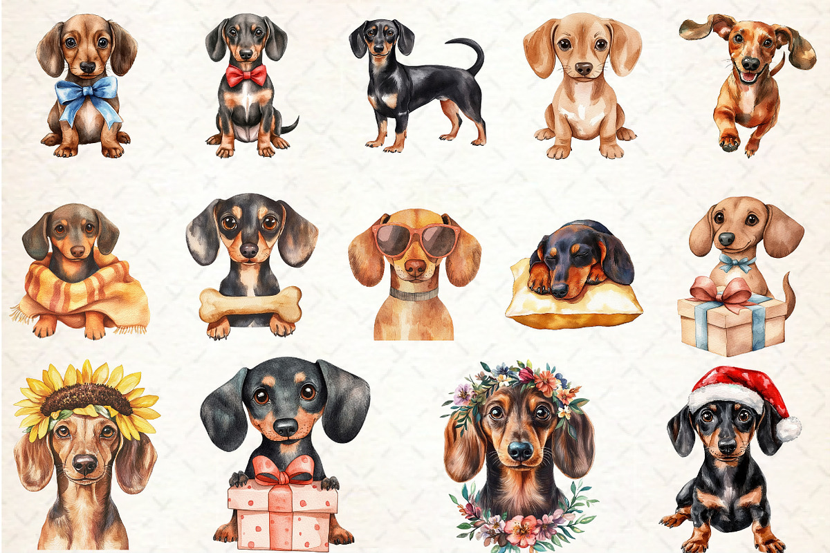 Watercolor Dachshund clipart, an Illustration by Rose Art (Photo 4 of 4)