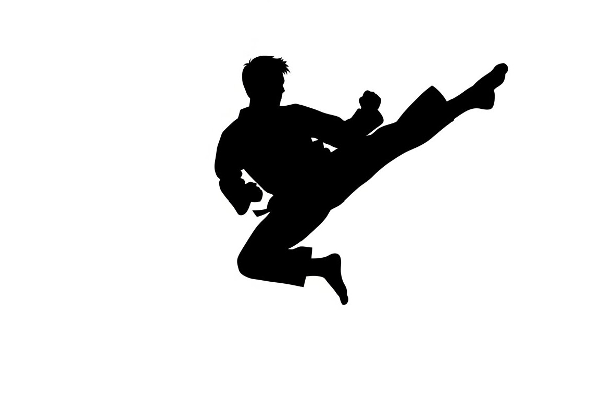 Dynamic martial arts kick silhouette, a Graphic by Amazin_art (Photo 29 of 36)