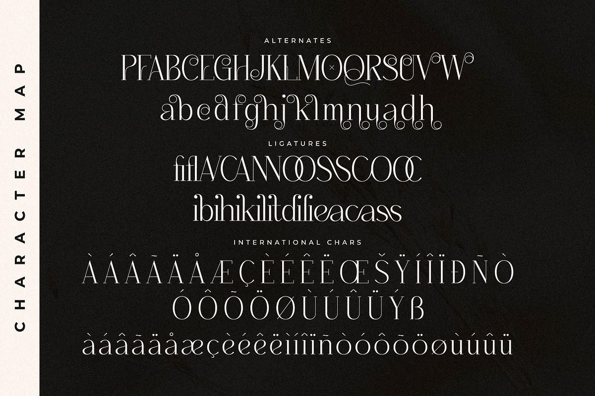 Qenliago Modern Serif Font, a Serif Font by Storytype Studio (Photo 14 of 15)