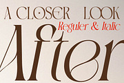 Canindya - Modern Elegant Luxury, a Serif Font by Qweera Studio (Thumbnail 3 of 12)