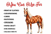 Watercolor Horse Clipart, an Animal Illustration by fashionaddict (Thumbnail 6 of 7)