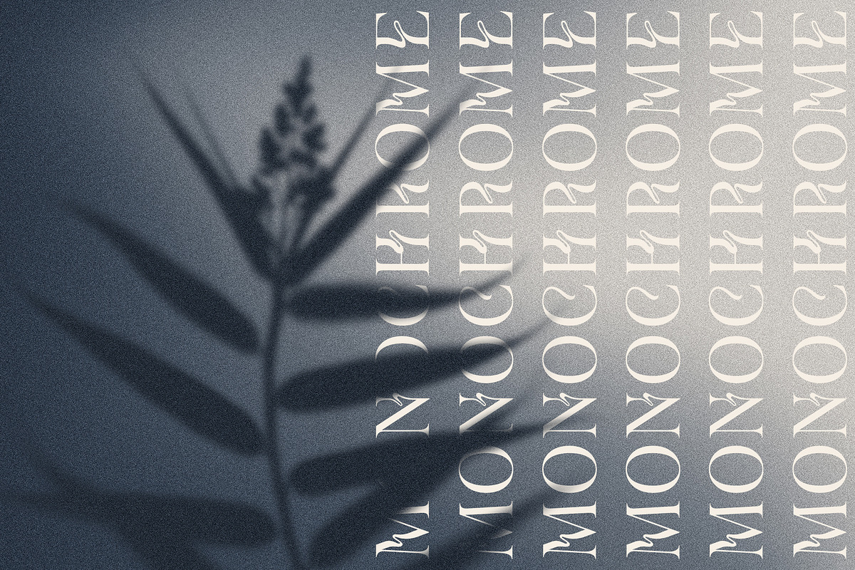 MONOCHROME Gradient & Floral Overlay, a Texture Graphic by Oksana Trygub (Photo 13 of 15)