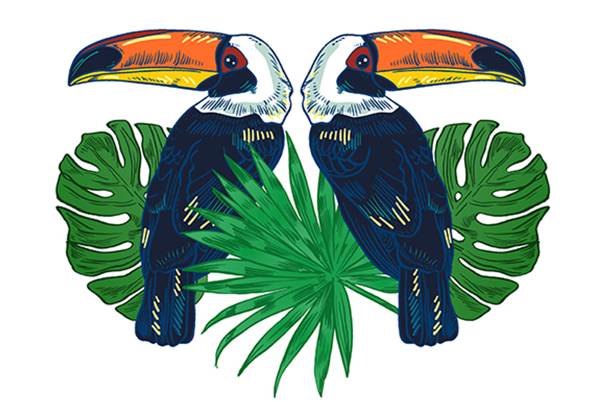 TOUCAN, an Animal Illustration by Tanya Akhmett (Photo 8 of 11)