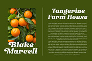 Heigan - Retro Font Family, a Serif Font by Grezline Studio (Thumbnail 5 of 13)