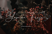 Emily Brunette - Signature Font, a Script Font by Sans & Sons (Thumbnail 4 of 9)
