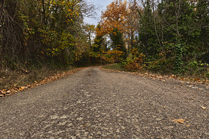 Autumn Country Road with Low Perspec, a Nature Photo by Perpis