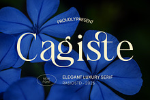 Cagiste Elegant Luxury Serif Font