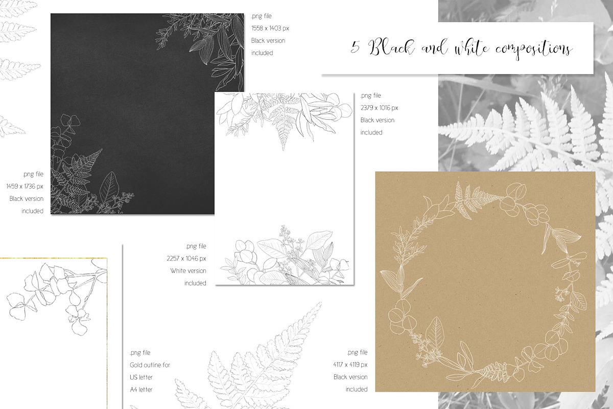 Fresh greenery frames and patterns, a Decorative Illustration by marie dricot (Photo 8 of 16)