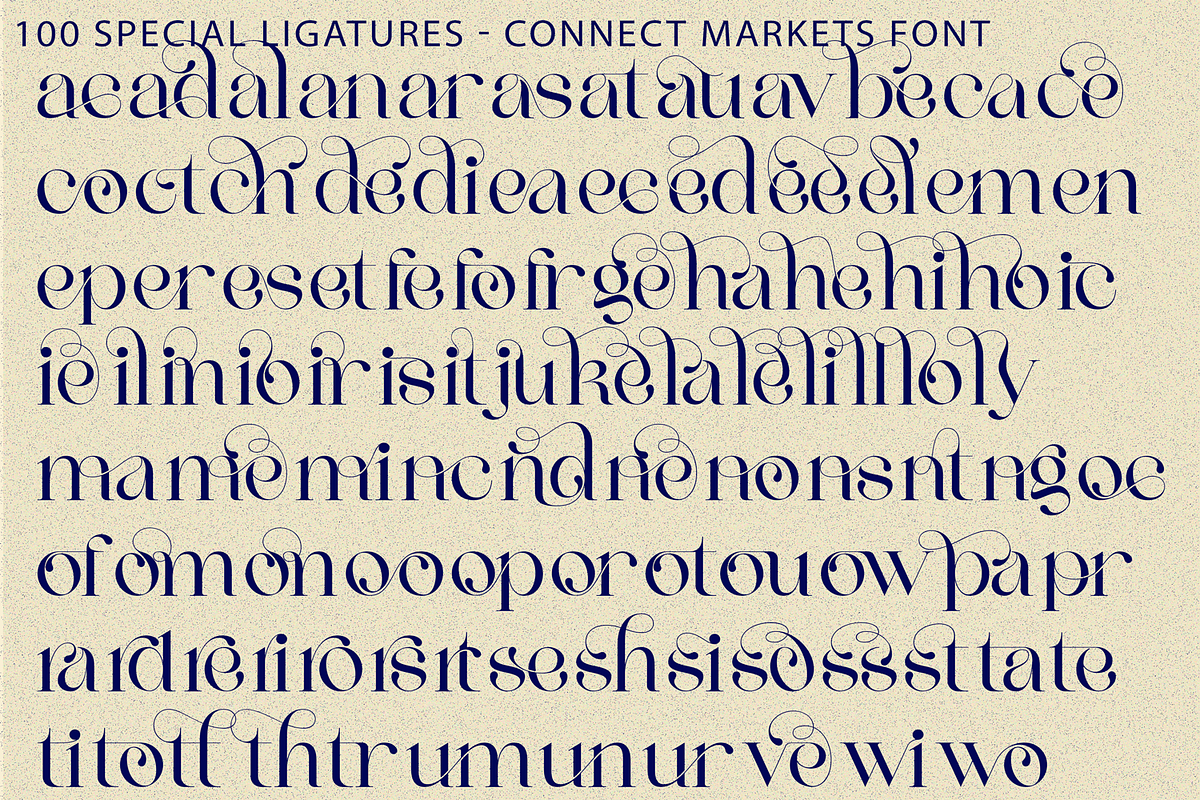 Connect Markets - Modern Serif Font, a Serif Font by 177Studio (Photo 8 of 8)
