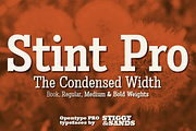 Stint Condensed Pro Family, a Serif Font by Stiggy & Sands (Thumbnail 1 of 5)