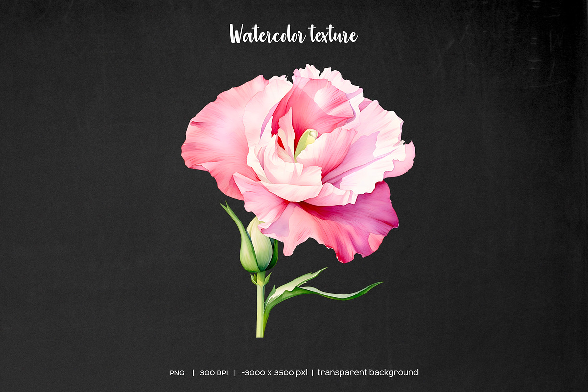 Watercolor pink wedding flowers set, an Object Illustration by Art and Funny (Photo 3 of 3)