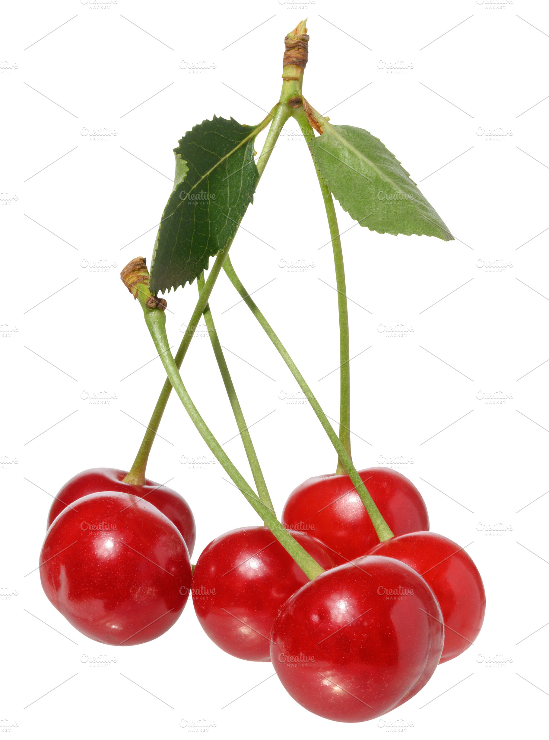 Red cherries with green stems and small green leaves, still atta, a Food & Drink Photo by ndanko