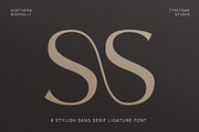 Northern Worssley - Ligature Sans, a Sans Serif Font by Typetemp Studio (Thumbnail 6 of 17)