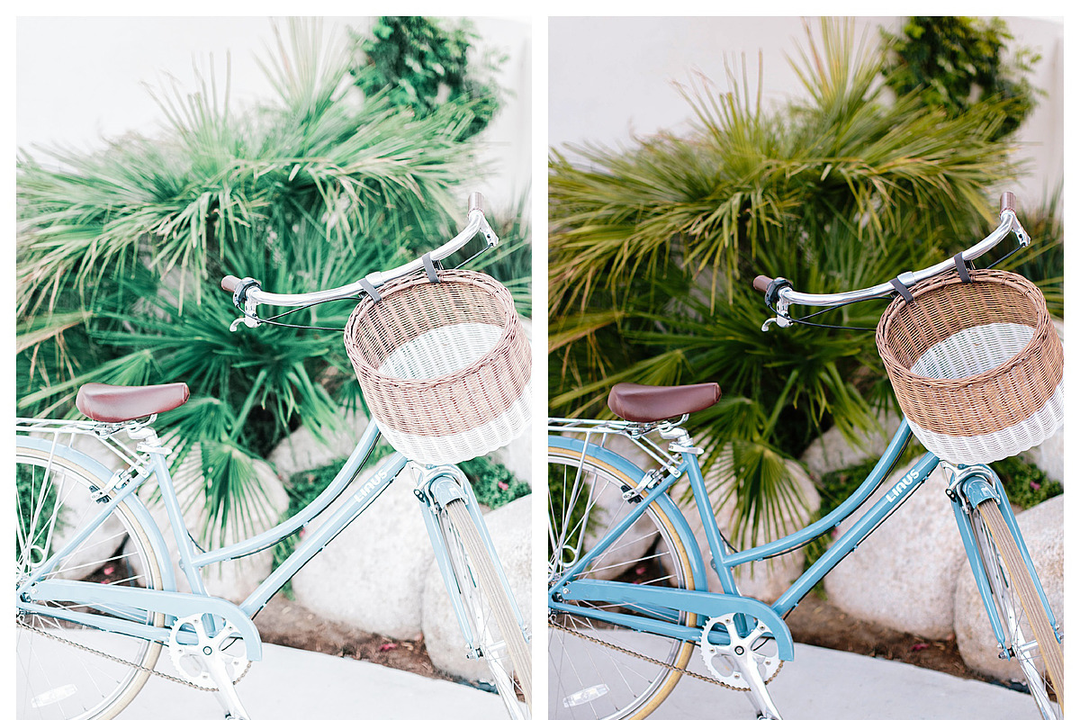 Natural Lightroom Mobile Preset, an Action Add-On by Lux Light (Photo 26 of 28)