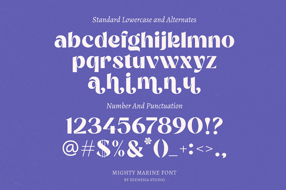 Mighty Marine, a Sans Serif Font by zeenesia (Photo 23 of 24)