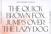 Tokyo Dreams Display Ligature Serif, a Serif Font by Mila Garret (Thumbnail 24 of 28)