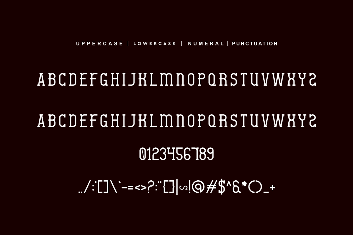 Stekova - Slab Serif Font, a Slab Serif Font by QR Design Studio (Photo 5 of 7)