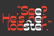Fergana, a Sans Serif Font by Muhammad Hastian (Thumbnail 7 of 7)