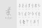 Spices. 30 Premade logos & branches, a Branding & Logo Template by Merfin (Thumbnail 6 of 8)