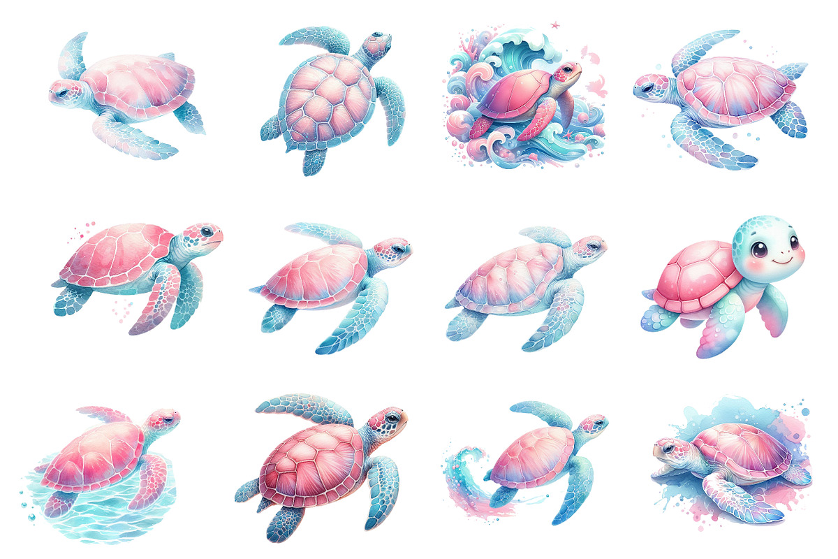 Coastal Sea Turtle Clipart, an Illustration by Dream Creation (Photo 5 of 6)