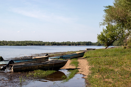 Serene riverside view and old boats