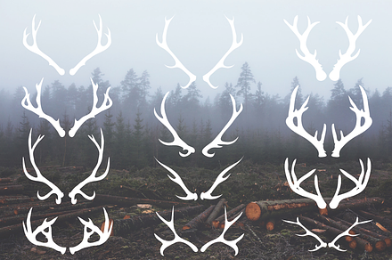 Deer Antlers - 12 Hand Drawn Vectors