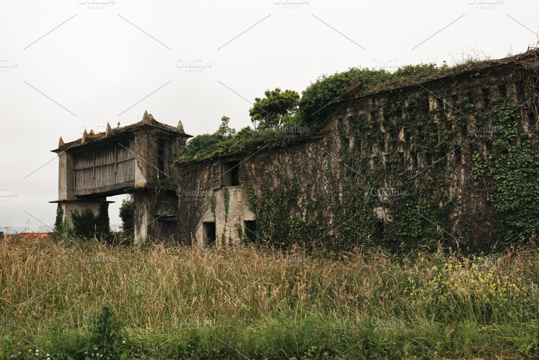Abandoned house, rural building, inv, an Architecture Photo by Perpis