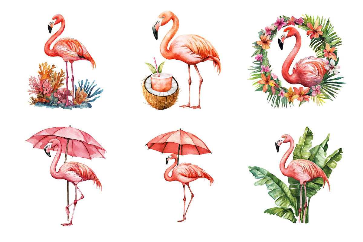 Tropical Flamingo Clipart, an Illustration by Design Market (Photo 4 of 4)