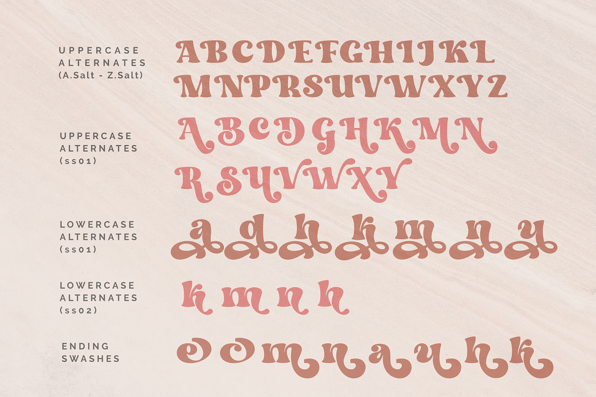 Dream to Berich Modern Bold Serif, a Serif Font by zeenesia (Photo 17 of 19)