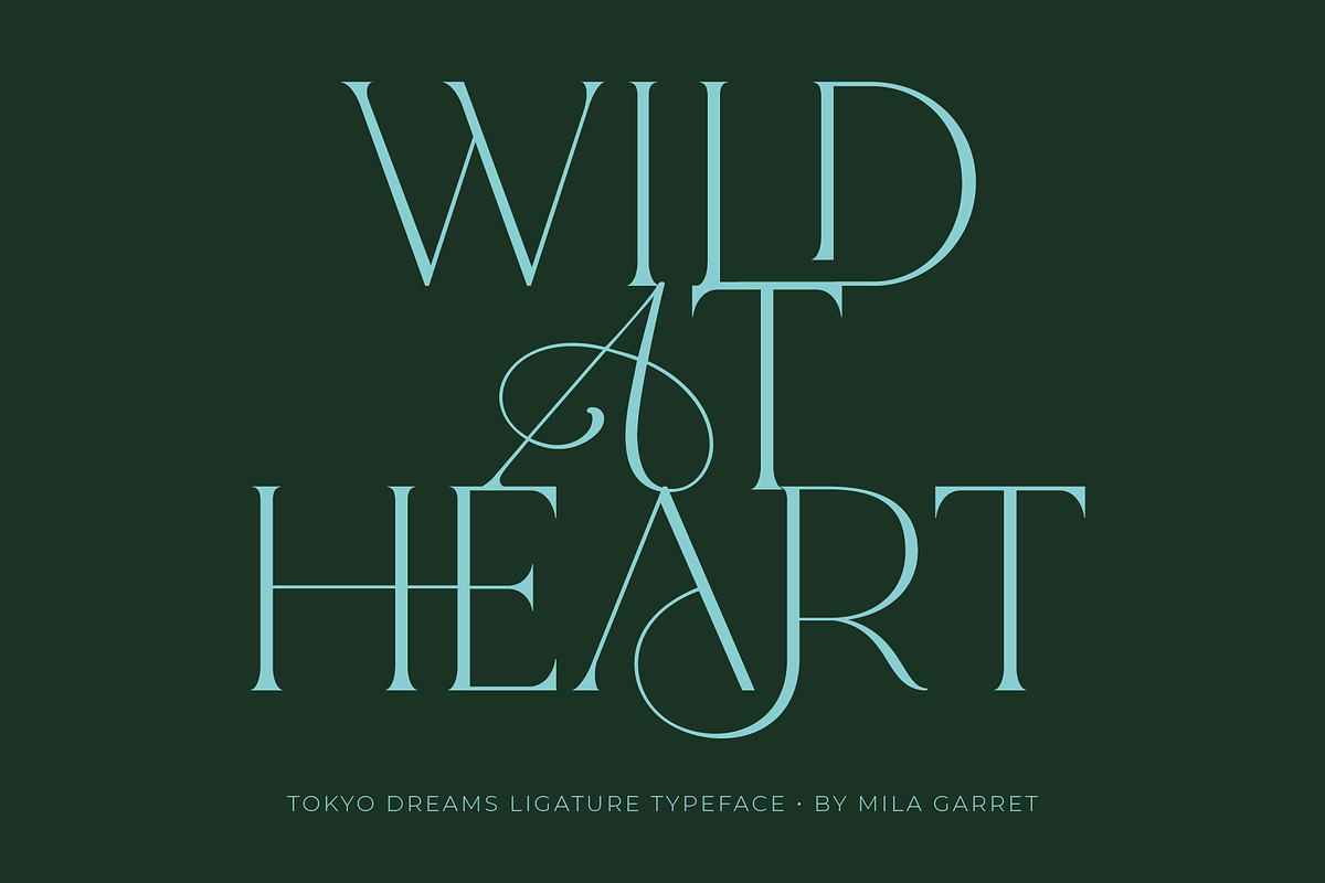 Tokyo Dreams Display Ligature Serif, a Serif Font by Mila Garret (Photo 8 of 28)