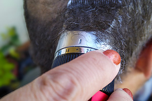 Man getting his head shaved with electric clippers, a Person Photo by DanFLCreativo
