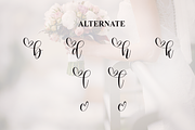Bride | Script Font, a Handwritten Font by Scratchones (Thumbnail 8 of 9)