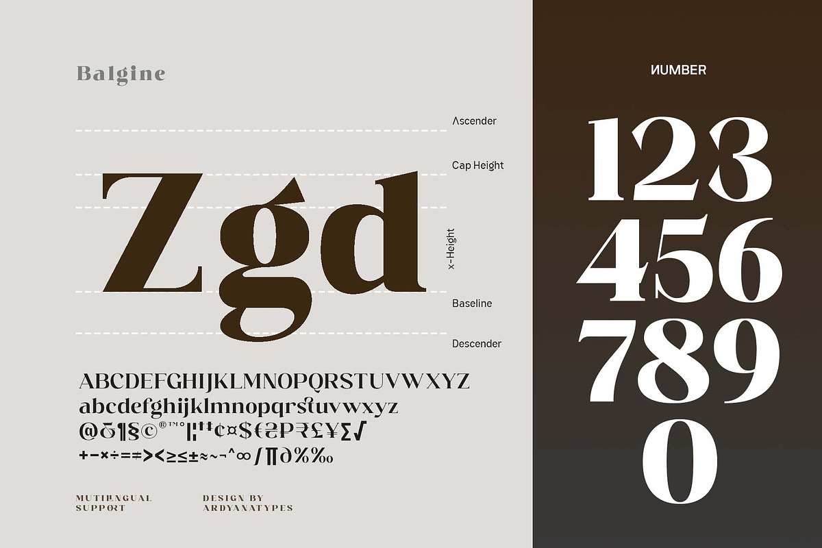 Balgine, a Serif Font by Ardyanatypes (Photo 10 of 12)