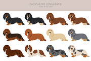 Dachshund longhaired clipart, an Animal Illustration by pet design shop (Thumbnail 4 of 10)