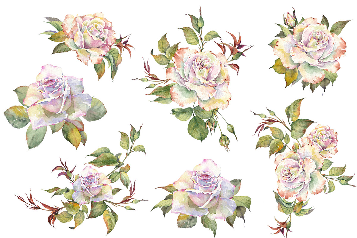 Romantic Watercolor Rose Clipart, a Decorative Illustration by Jeanna Draw (Photo 3 of 17)