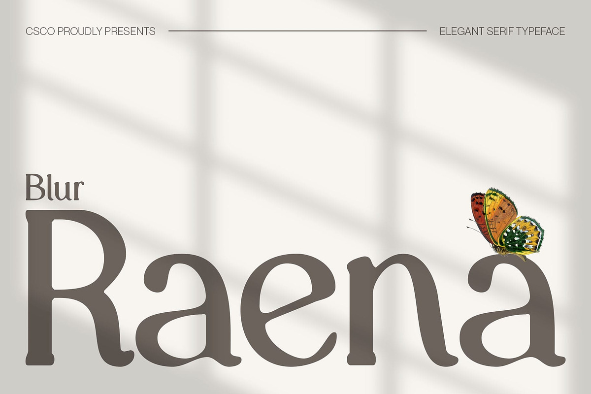 Raena Blur, a Serif Font by Craft Supply Co. (Photo 1 of 8)