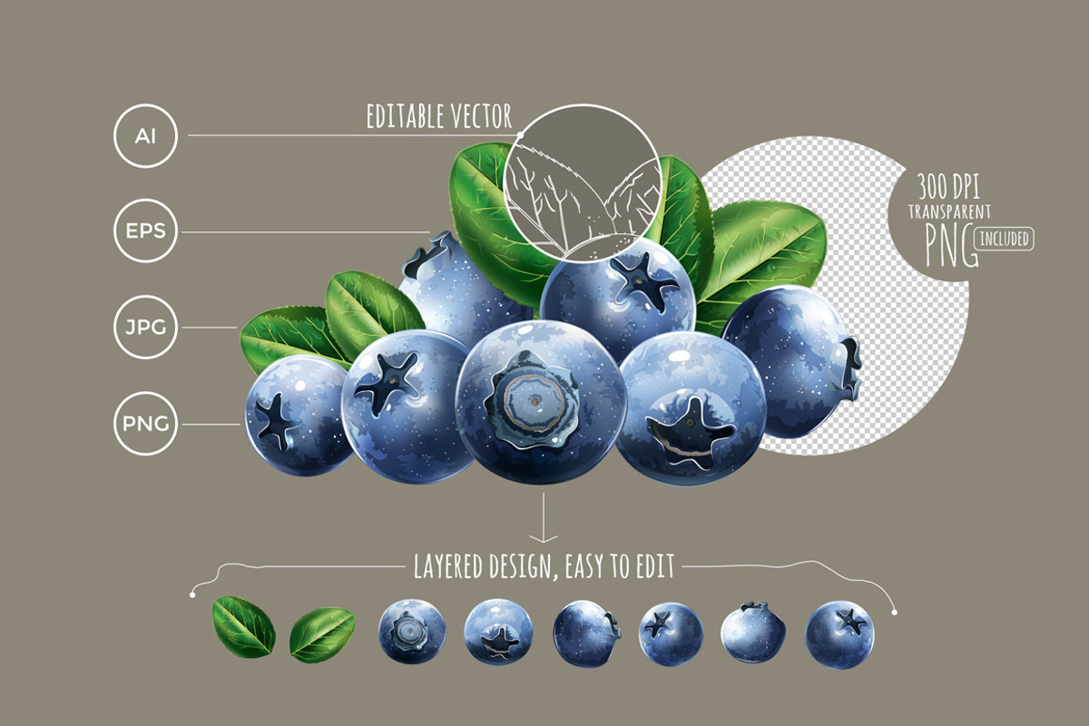 82 Fruits, Berries and Vegetables, an Object Graphic by ConceptCafe (Photo 6 of 6)