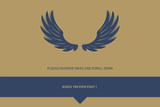 160 Pairs of Vector Wings, an Object Graphic by Damien (Thumbnail 12 of 17)