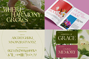 Stylish Serif - 6 Font Bundle, a Serif Font by Brand Earth (Thumbnail 7 of 8)