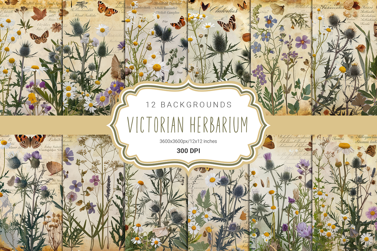 Victorian Herbarium, a Background Graphic by Curve Design (Photo 1 of 7)