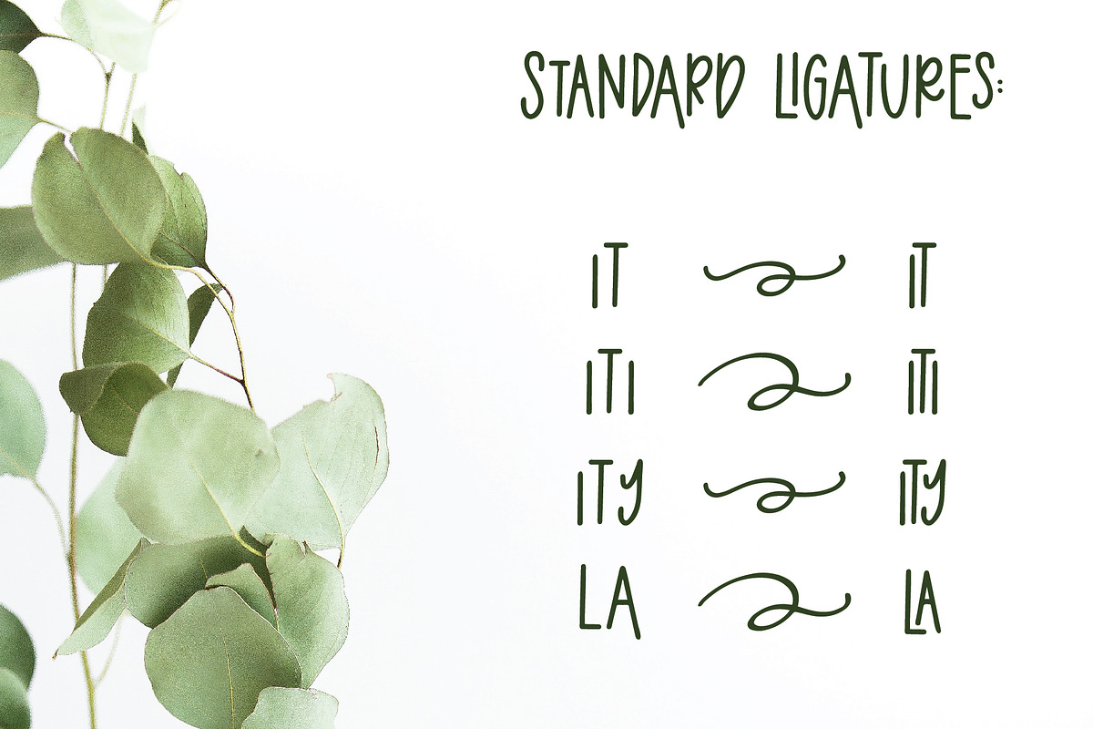 Eucalyptus Spearmint Monoline Script preview 6