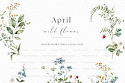 April Wild Flower, a Decorative Illustration by heyiamalice (Thumbnail 3 of 9)