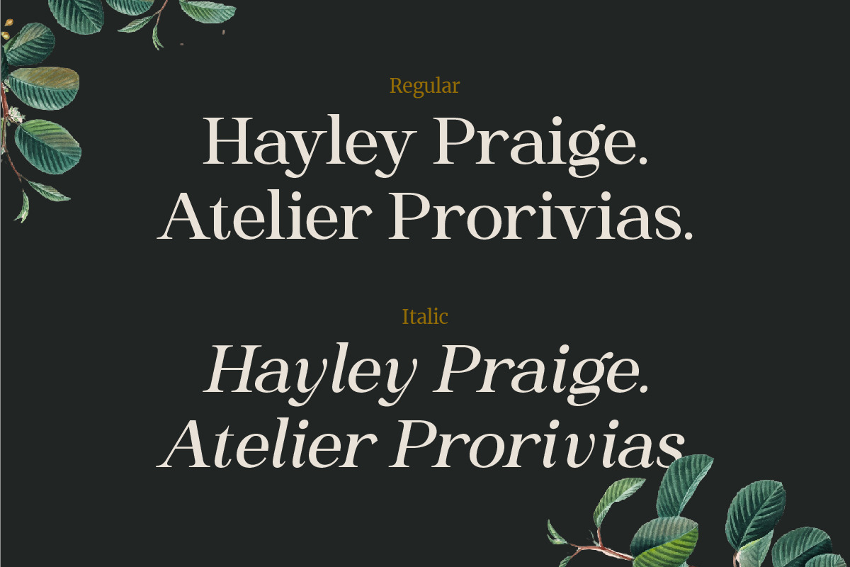 Heading South | Retro serif, a Serif Font by ClevUs (Photo 3 of 14)