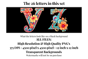Boho Floral Pastel Alphabet Letters, a Decorative Illustration by Creative Art By SamM (Thumbnail 7 of 10)