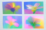 Blurred Floral Ethereal Backgrounds, a Background Graphic by Anzhelika (Thumbnail 8 of 9)