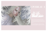 Ice Frost Overlays, a Texture Graphic by Kaleriia (Thumbnail 5 of 17)