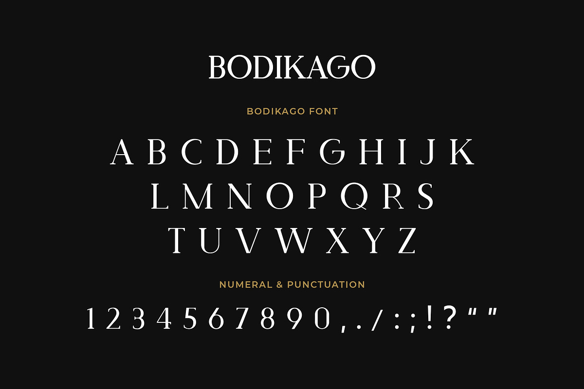 Bodikago Luxury Serif Font preview 5