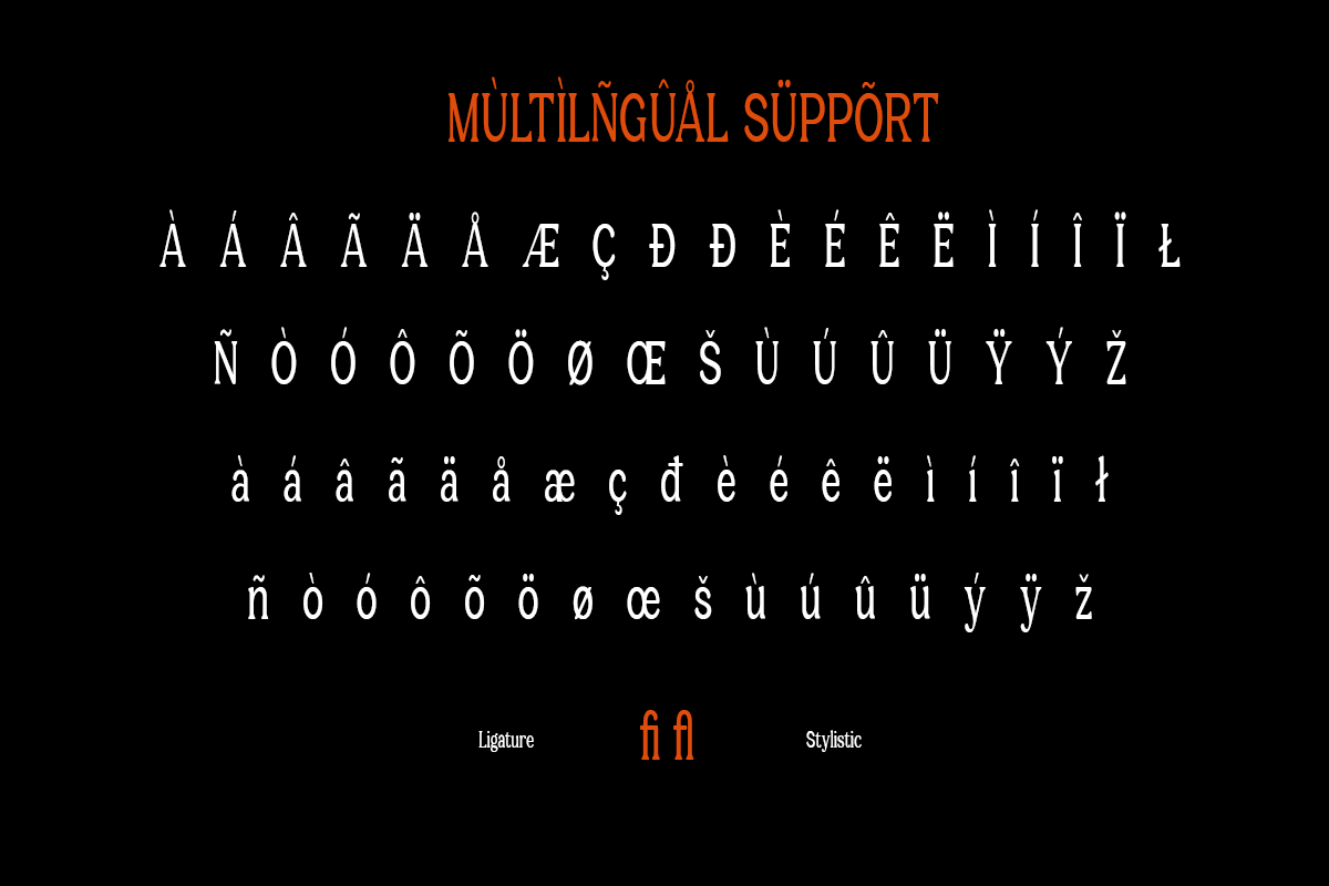 Castle Of Avenue - A Serif Family, a Serif Font by RagamKata (Photo 10 of 10)